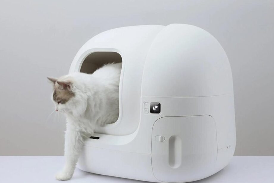 Les objets connectés pour animaux 1 les objets connectes pour