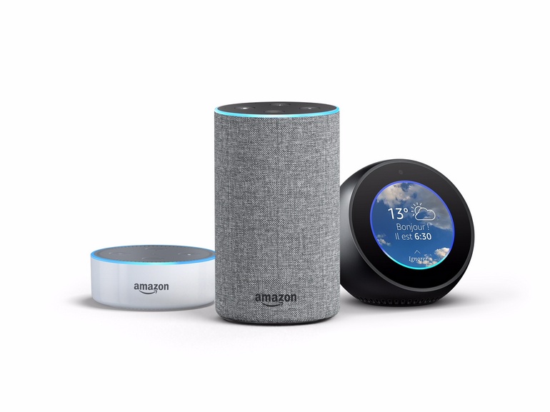 amazon echo alexa big