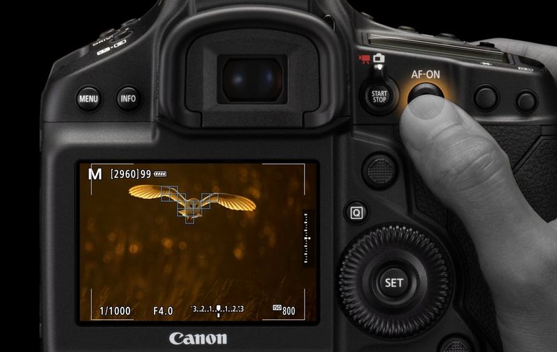 Test du Canon EOS R50 : l’hybride pour les passionnés de photographie ! 9 eos 1d x mark iii uicut2 0fd47e5a5e09421eac25ff962ca99100