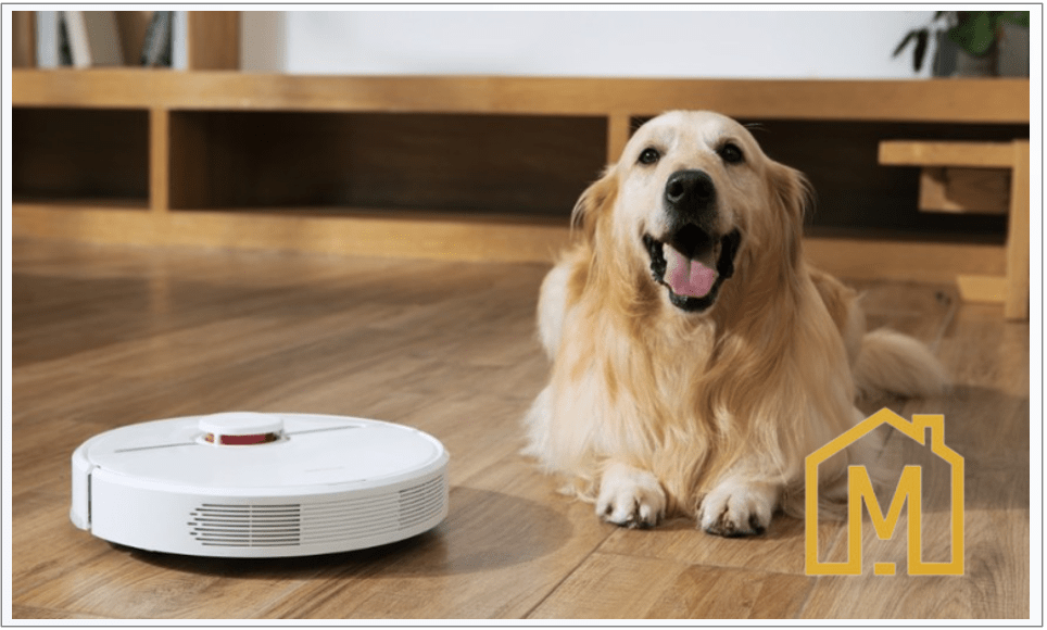 meilleur robot aspirateur poil