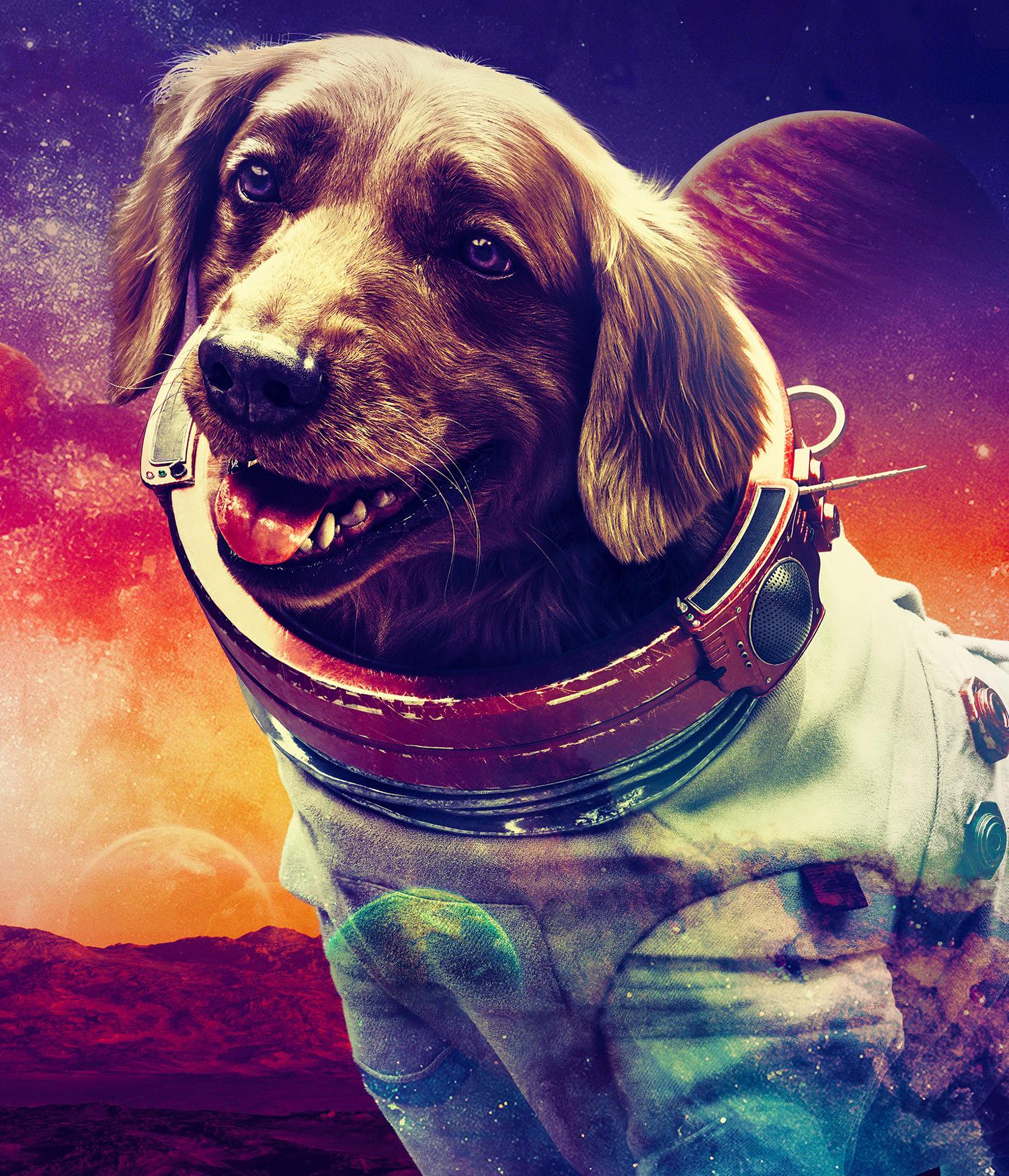 Pourquoi ce chien est indispensable aux Gardiens de la Galaxie 6 cosmo gotg v3 imgprofil