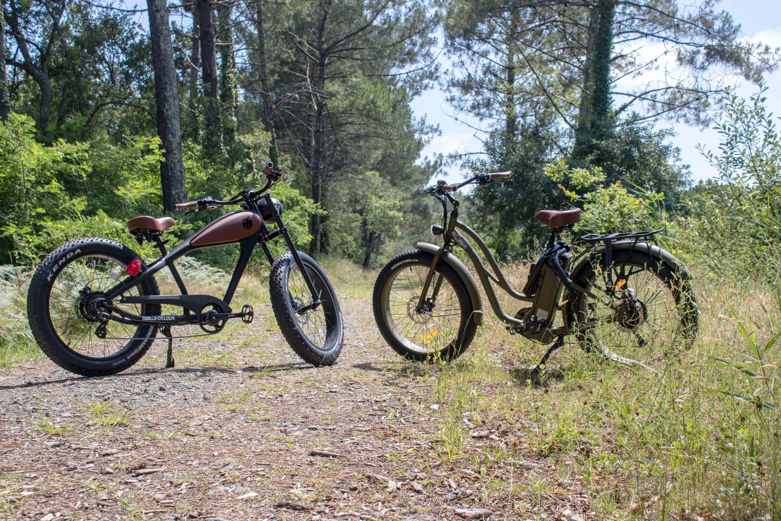 Test du E-EXPL 520 : un VTT électrique Decathlon à moins de 2000 € irréprochable ? 6 Quelle puissance pour un bon velo electrique scaled