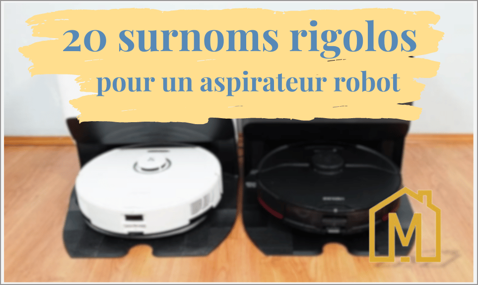 surnoms marrants aspirateur robot
