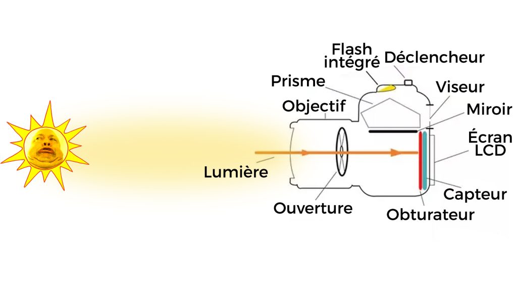 Rôle du capteur dans un appareil photo 6 schema parcours de la lumiere dans un appareil photo